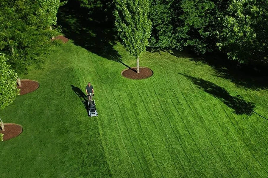top self propelled lawn mower